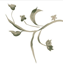 花枝