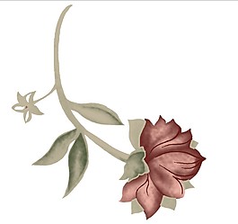 灰色花枝花纹