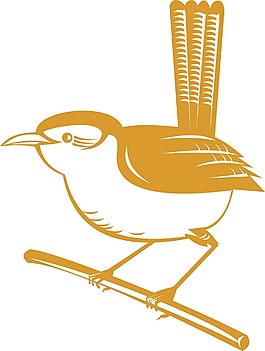 鷦鷯鳥棲息在樹枝上