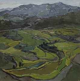 農(nóng)田風(fēng)景