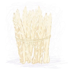 白芦笋