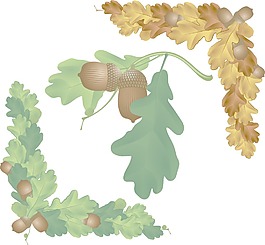 橡樹(shù)向量