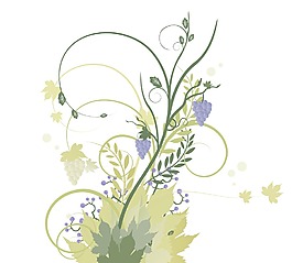 秋天的花卉插图