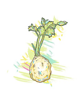 隨著垃圾矢量插畫的蔬菜
