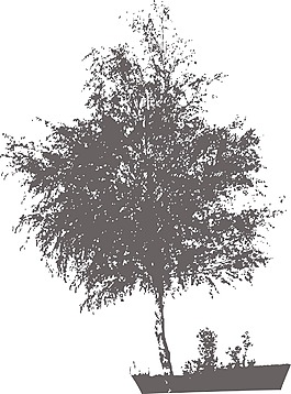 向量樹
