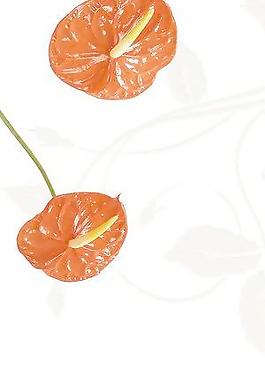 平开门 红色花