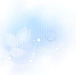 夢幻花紋
