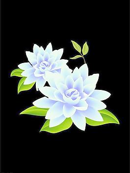 藍(lán)色的花