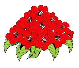 情人节花束