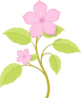 粉紅色的花分公司
