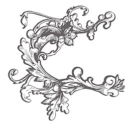 巴洛克風(fēng)格的花卉元素矢量插圖