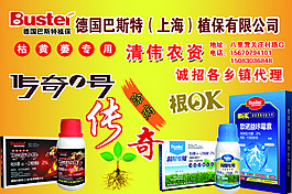 巴斯特