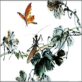 花蝴蝶
