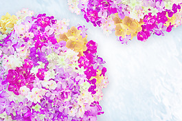 蘭花花