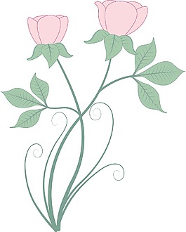 野生花卉