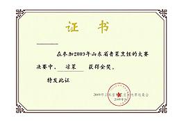 榮譽證書