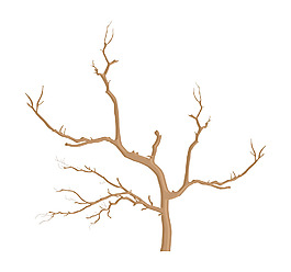 死樹