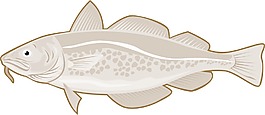 大西洋鱈魚的復(fù)古