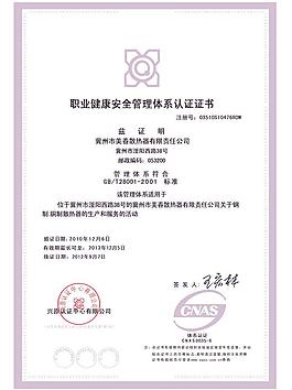 職業安全證書