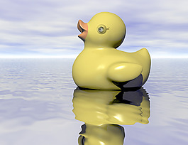 鴨
