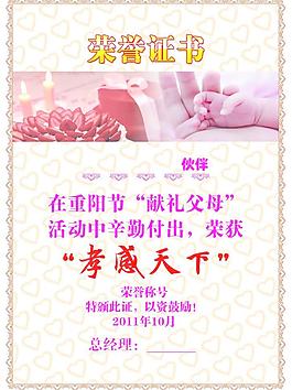 榮譽(yù)證書(shū)