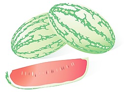 在矢量插畫西瓜