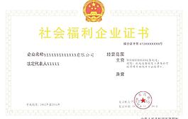 社会福利企业