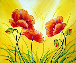 紅色鮮花