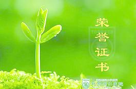 荣誉证书