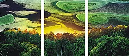梯田風景