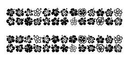 Hibiscus 另類字體