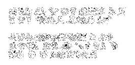 Lmspokemonmaster 另類字體