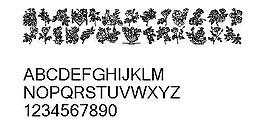 Rose 另类字体