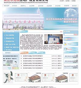 某某房地產(chǎn)服務有限公司