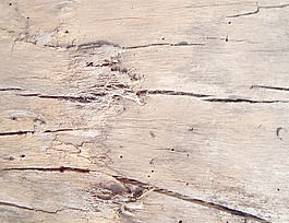 wooden_backdrop