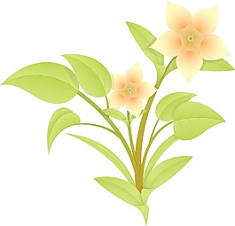美麗的花朵的分支