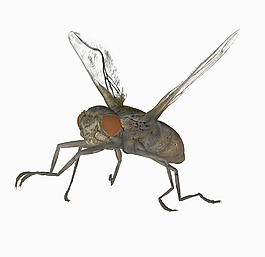 飛