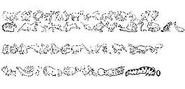 Ninasanimals 另類字體