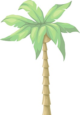 彩色矢量的棕櫚樹(shù)
