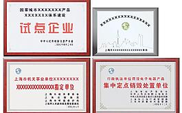 獎牌銅牌