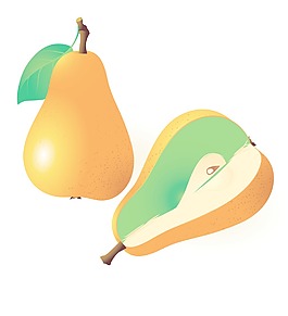 熟梨向量