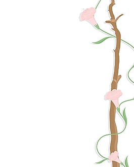 裝飾花邊