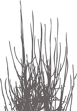 向量樹