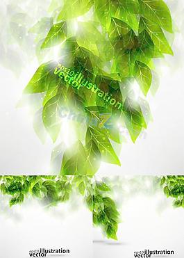 美麗綠葉矢量素材下載