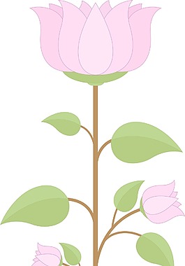蓮花分行