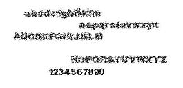 Bioseptic 英文字體下載