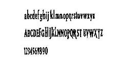 Bird 英文字體下載