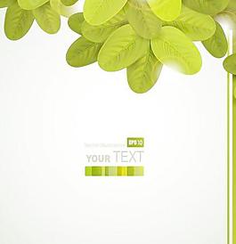 精致綠葉背景卡片矢量素材1