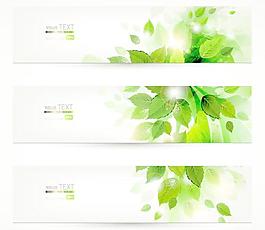潮流綠葉banner背景矢量素材