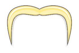 現(xiàn)代的胡子